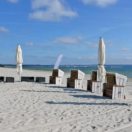 Prora Solitaire Pearl *