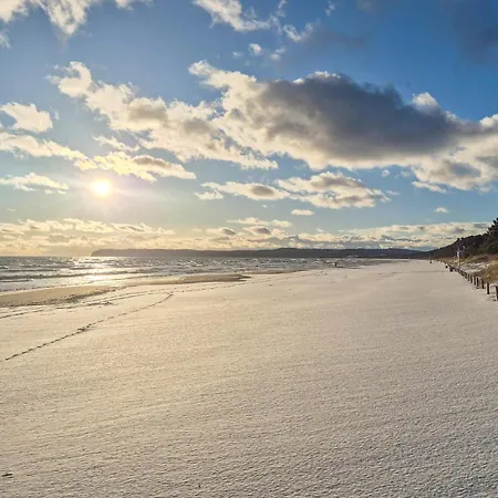 Prora Solitaire Pearl Daire